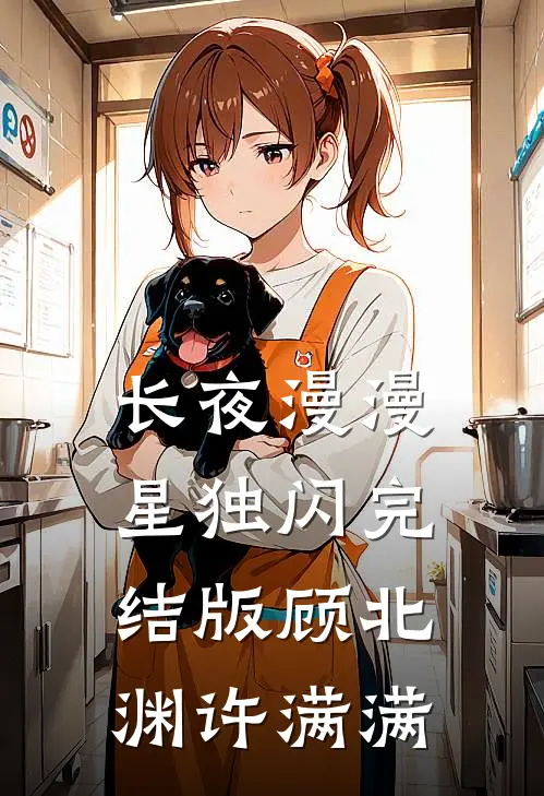 长夜漫漫星独闪完结版顾北渊许满满