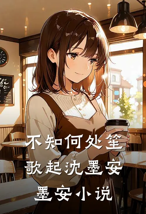 不知何处笙歌起沈墨安墨安小说