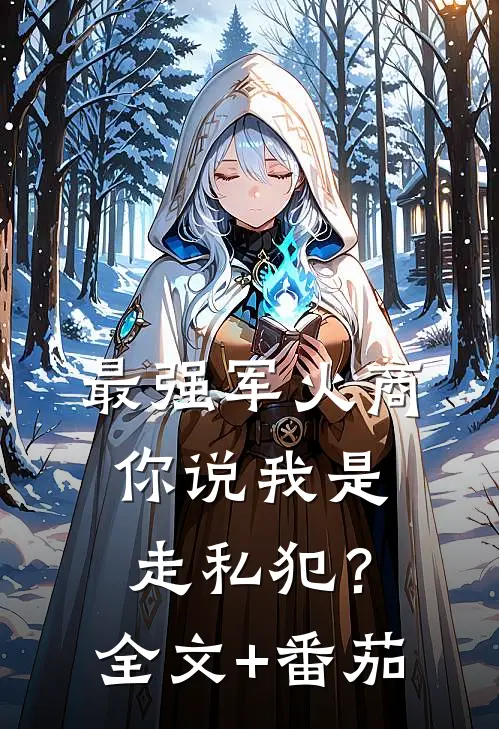 最强军火商，你说我是走私犯？全文+番茄