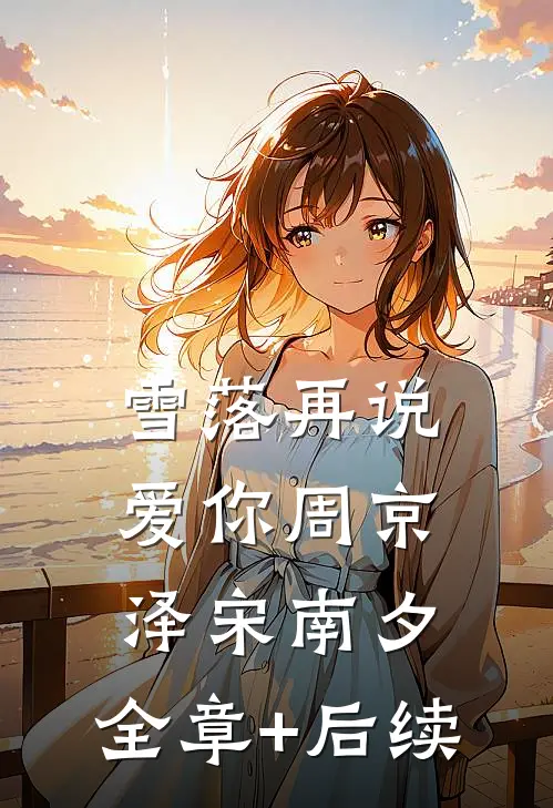 雪落再说爱你周京泽宋南夕:全章+后续
