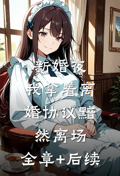 新婚夜，我拿着离婚协议黯然离场:全章+后续