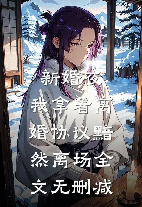 新婚夜，我拿着离婚协议黯然离场全文无删减