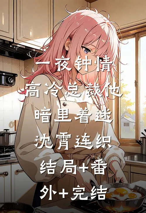 一夜钟情，高冷总裁他暗里着迷沈霄连织结局+番外+完结