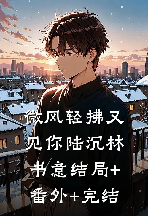 微风轻拂又见你陆沉林书意结局+番外+完结