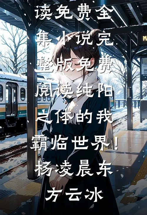雪覆往事终无声目录