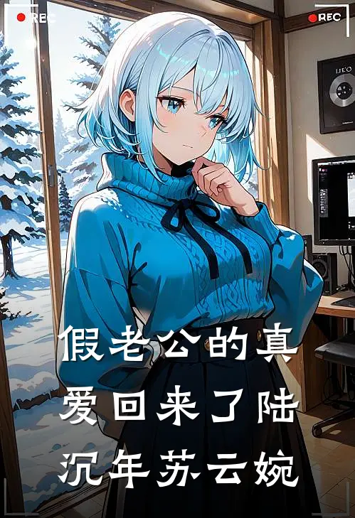 假老公的真爱回来了陆沉年苏云婉