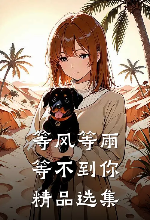 等风等雨等不到你精品选集