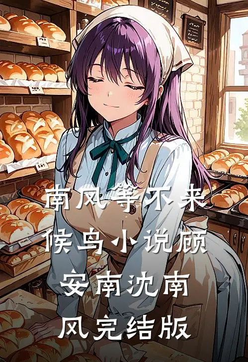 南风等不来候鸟小说顾安南沈南风完结版