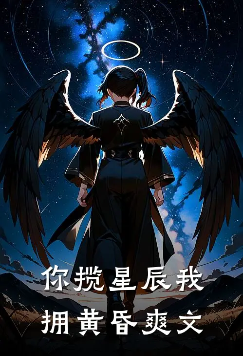 你揽星辰我拥黄昏爽文