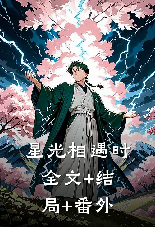 星光相遇时全文+结局+番外