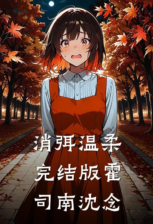 消弭温柔完结版霍司南沈念