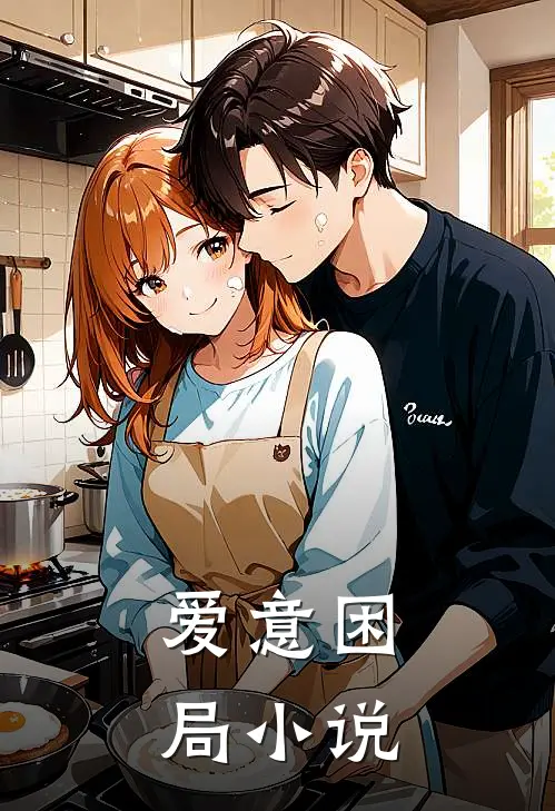 爱意困局小说