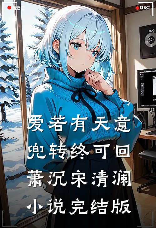 爱若有天意，兜转终可回萧沉宋清澜小说完结版