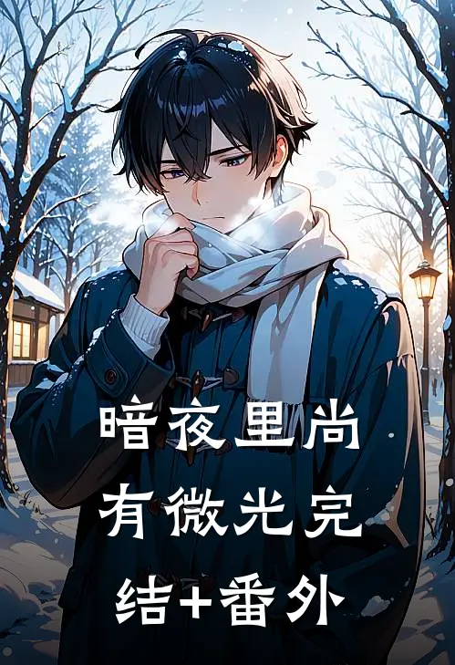 暗夜里尚有微光完结+番外