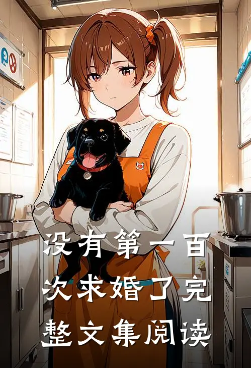 没有第一百次求婚了完整文集阅读