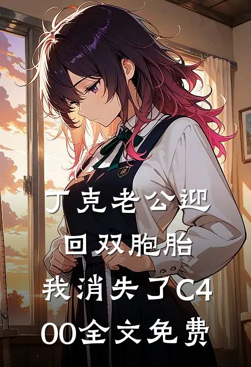 丁克老公迎回双胞胎，我消失了C400全文免费