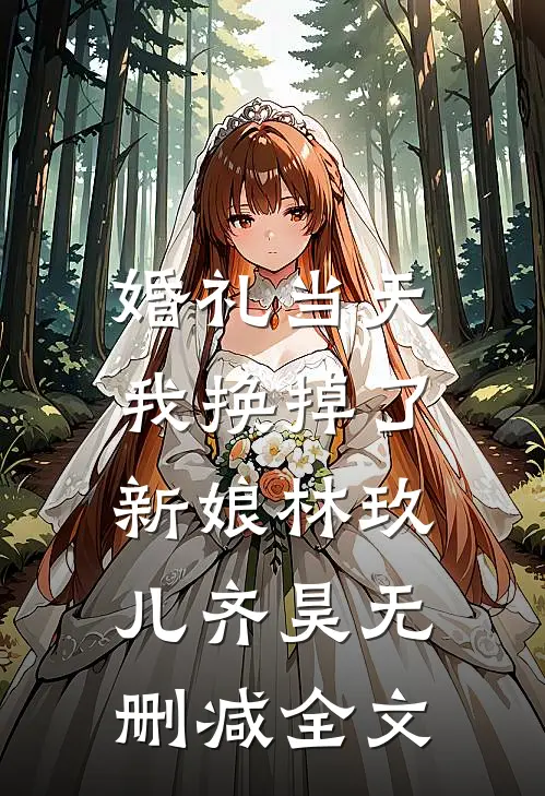婚礼当天，我换掉了新娘林玖儿齐昊无删减全文