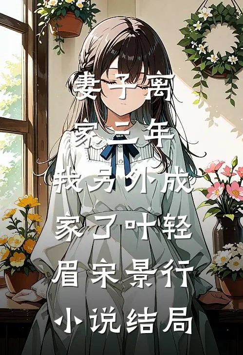 妻子离家三年，我另外成家了叶轻眉宋景行小说结局