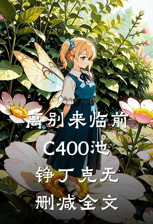 离别来临前C400池铮丁克无删减全文
