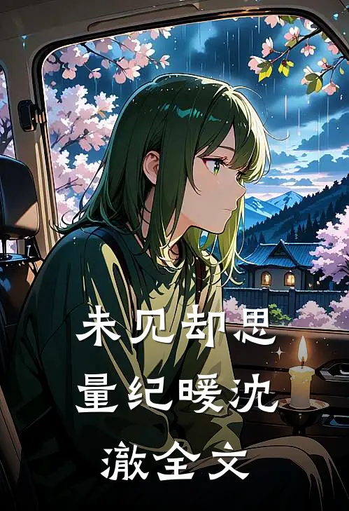 未见却思量纪暖沈澈全文