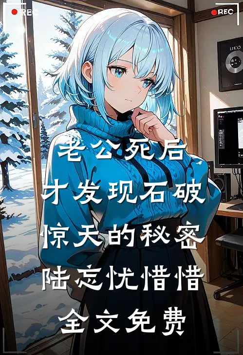 老公死后，才发现石破惊天的秘密陆忘忧惜惜全文免费
