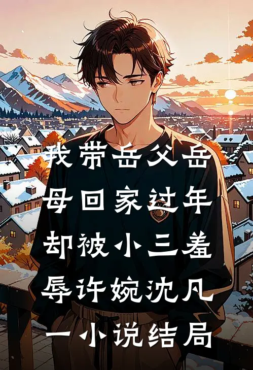 我带岳父岳母回家过年，却被小三羞辱许婉沈凡一小说结局