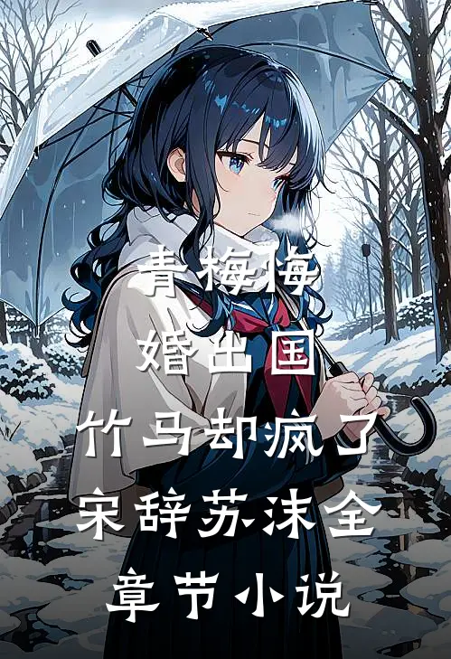 青梅悔婚出国，竹马却疯了宋辞苏沫全章节小说
