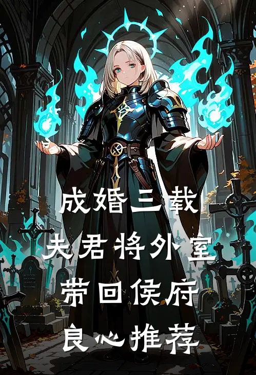 成婚三载，夫君将外室带回侯府良心推荐