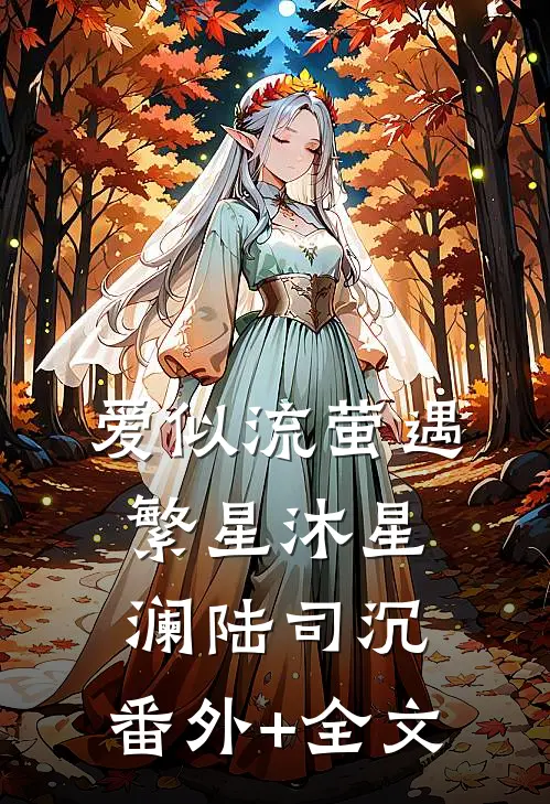 爱似流萤遇繁星沐星澜陆司沉:(番外)+(全文)