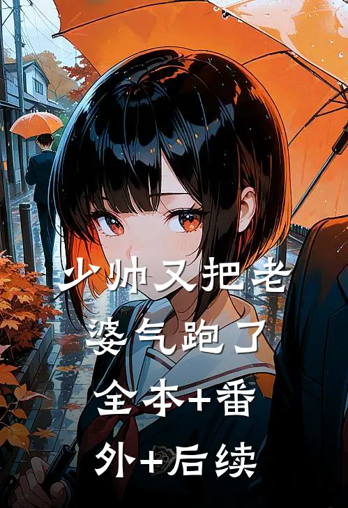 少帅又把老婆气跑了:全本+番外+后续