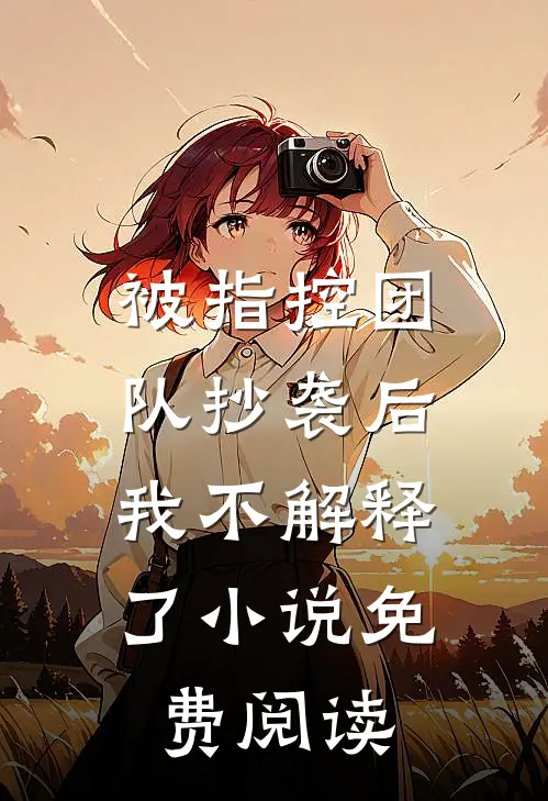 被指控团队抄袭后，我不解释了小说免费阅读