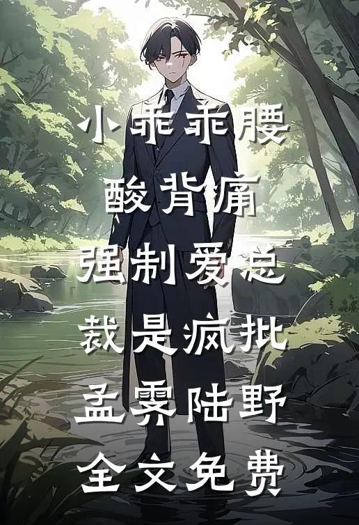 小乖乖腰酸背痛，强制爱总裁是疯批孟霁陆野全文免费