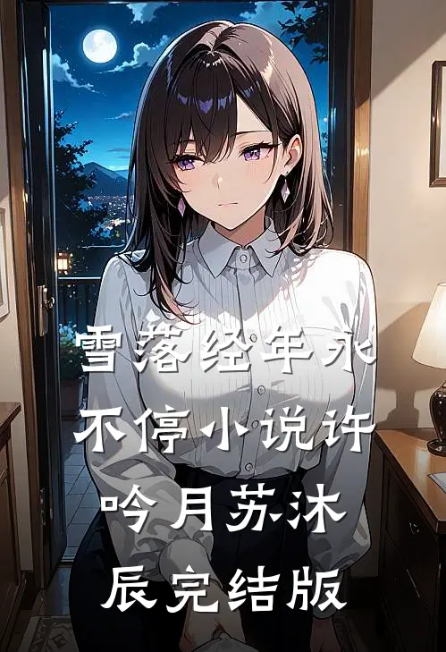 雪落经年永不停小说许吟月苏沐辰完结版