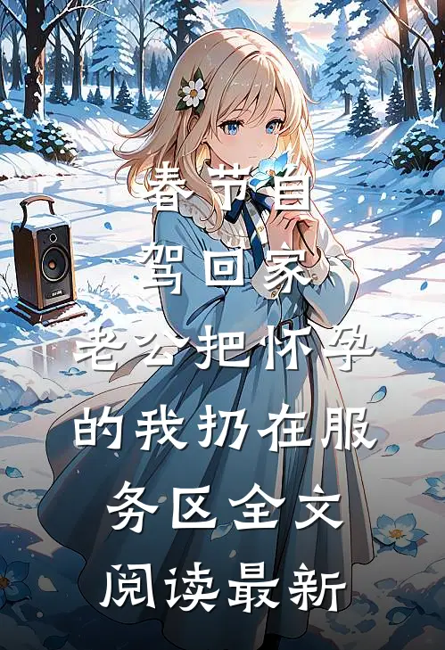 春节自驾回家，老公把怀孕的我扔在服务区全文阅读最新