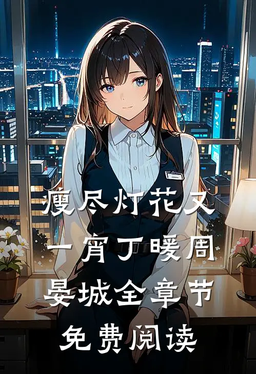 瘦尽灯花又一宵丁暖周晏城全章节免费阅读