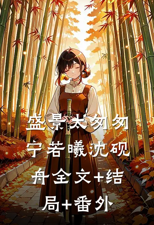 盛景太匆匆宁若曦沈砚舟全文+结局+番外