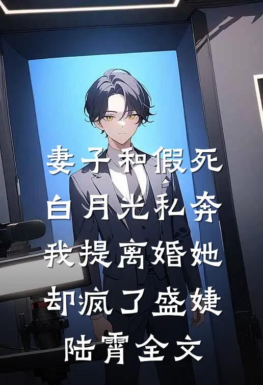 妻子和假死白月光私奔，我提离婚她却疯了盛婕陆霄全文