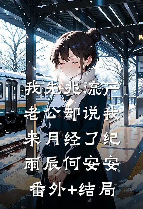 我先兆流产，老公却说我来月经了纪雨辰何安安:(番外)+(结局)
