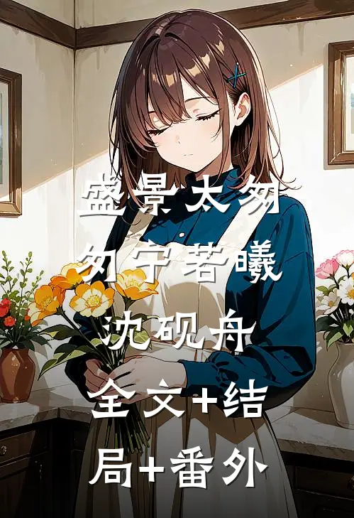 盛景太匆匆宁若曦沈砚舟:全文+结局+番外