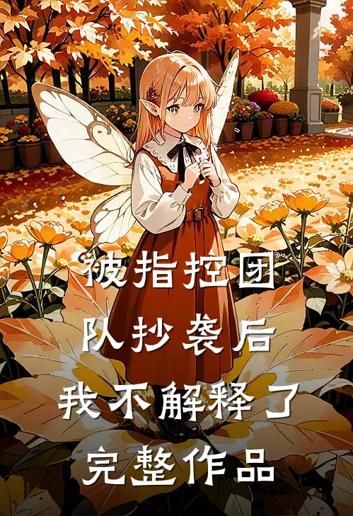 被指控团队抄袭后，我不解释了完整作品