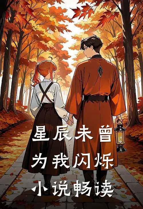 星辰未曾为我闪烁小说畅读