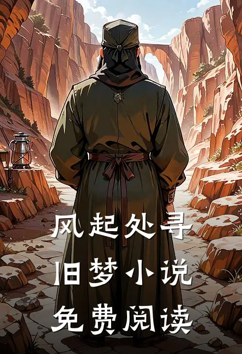 风起处寻旧梦小说免费阅读
