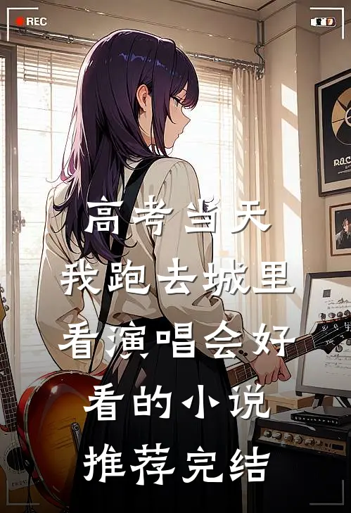 高考当天，我跑去城里看演唱会好看的小说推荐完结
