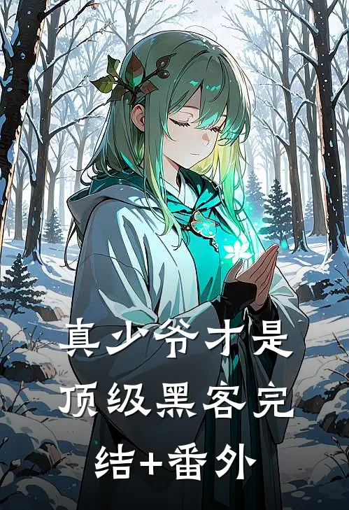 真少爷才是顶级黑客完结+番外