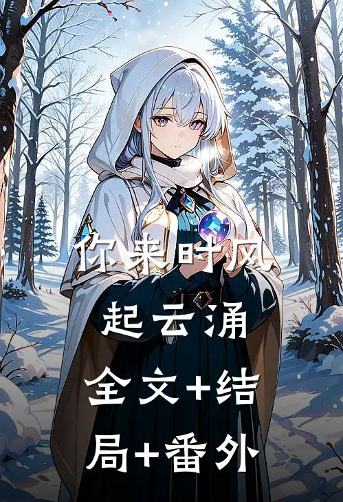 你来时风起云涌:全文+结局+番外