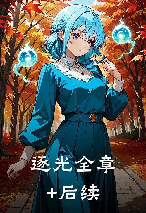 逐光全章+后续