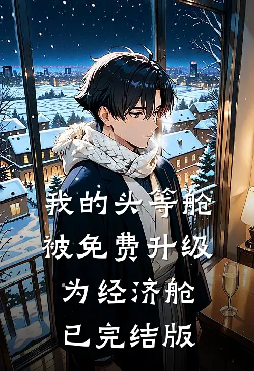 我的头等舱被免费升级为经济舱已完结版
