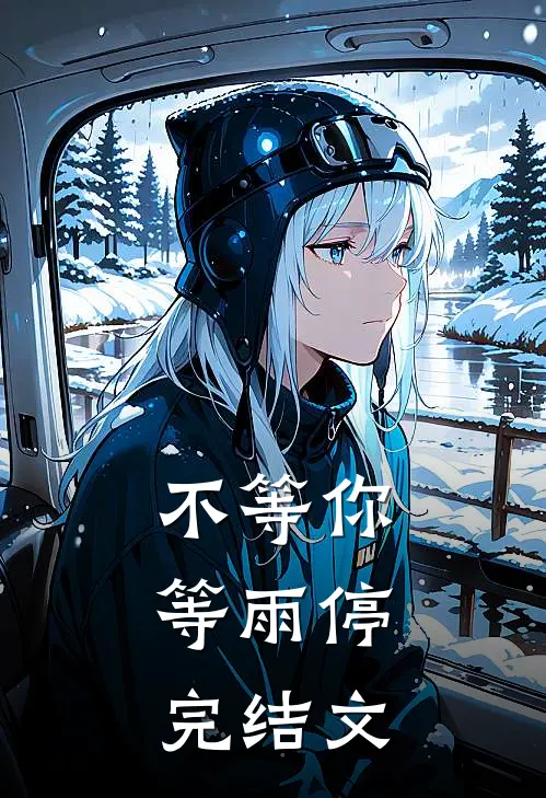 不等你，等雨停完结文