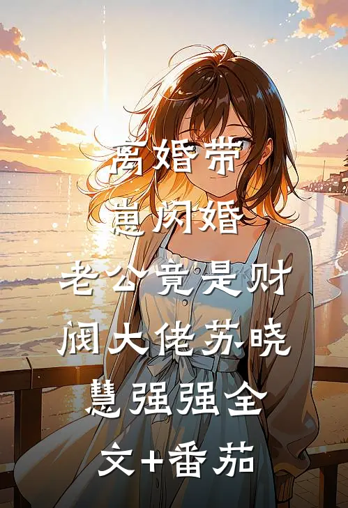 离婚带崽闪婚，老公竟是财阀大佬苏晓慧强强全文+番茄