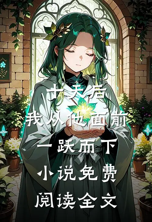 十天后，我从他面前一跃而下小说免费阅读全文